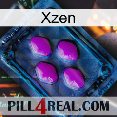 Xzen 04